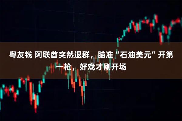粤友钱 阿联酋突然退群，瞄准“石油美元”开第一枪，好戏才刚开场